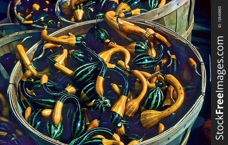 Gourds in baskets at city market in autumn