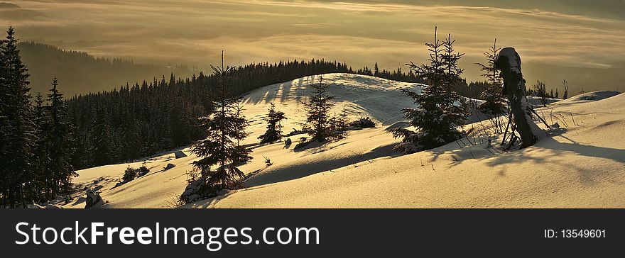 Dawn in mountains Karpati, Ukraine. Winter morning