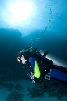 Female Diver Stock Photo