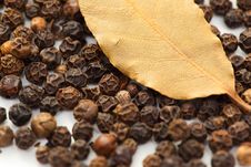 Pepper With Dry Bay Leaf Isolated On White. Stock Photography Pepper With Dry Bay Leaf Isolated On White. Stock Photography
