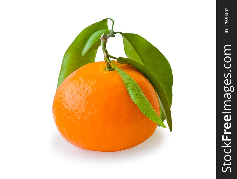 Fresh tangerine on stem with green leaves isolated on white. Fresh tangerine on stem with green leaves isolated on white