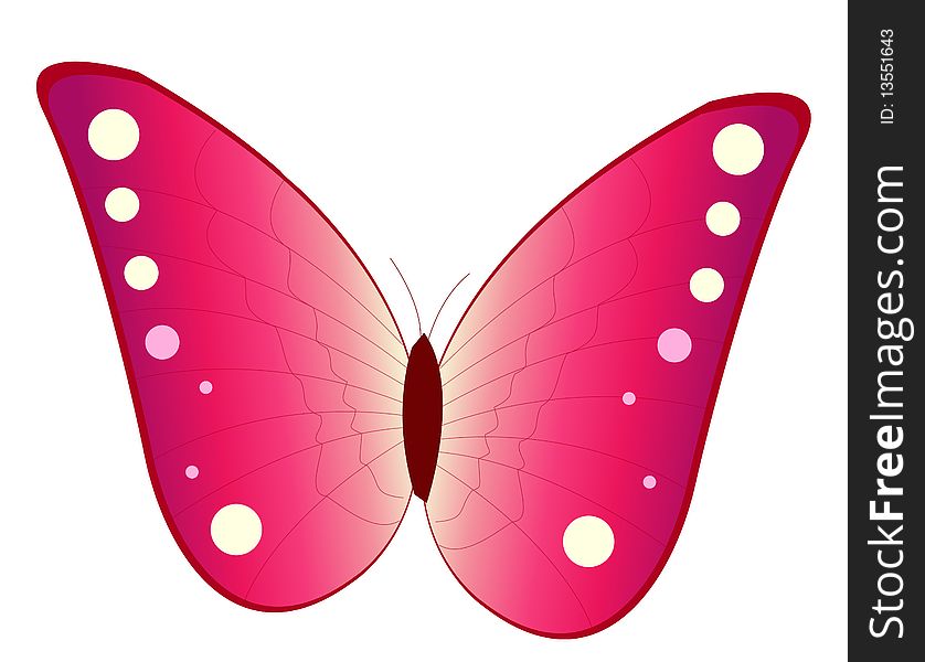 Drawing of beautiful butterfly in a white background