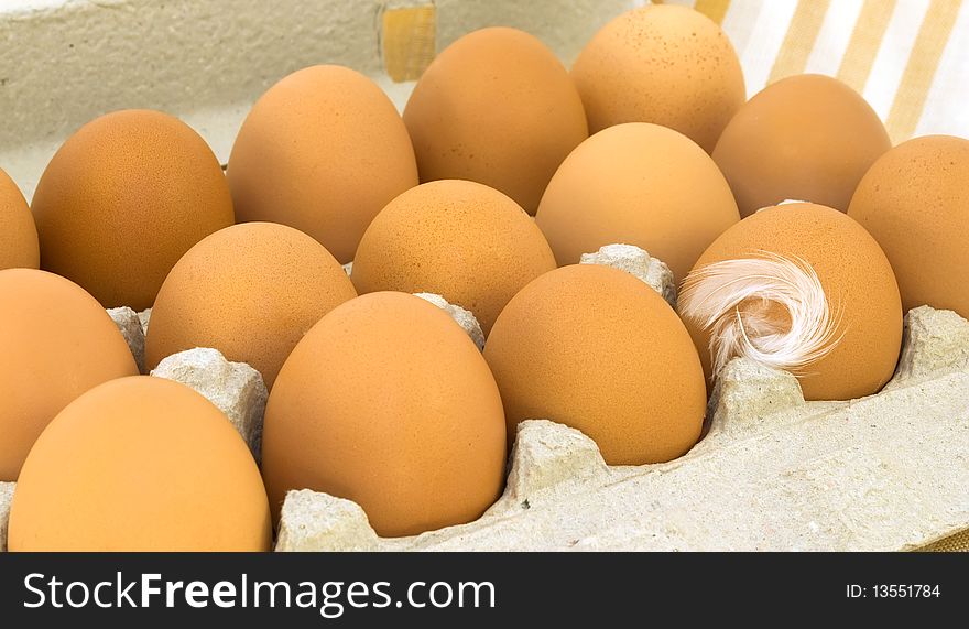 Brown eggs in a cardboard tray with feather. Brown eggs in a cardboard tray with feather