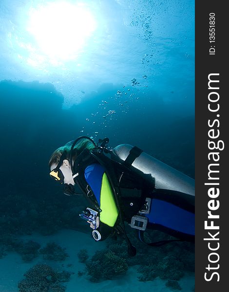 Female diver in the Red Sea, Egypt, with a sunburst in the background