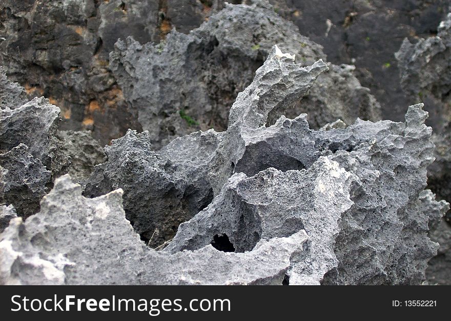 The porous surface of a volcanic rock. The porous surface of a volcanic rock