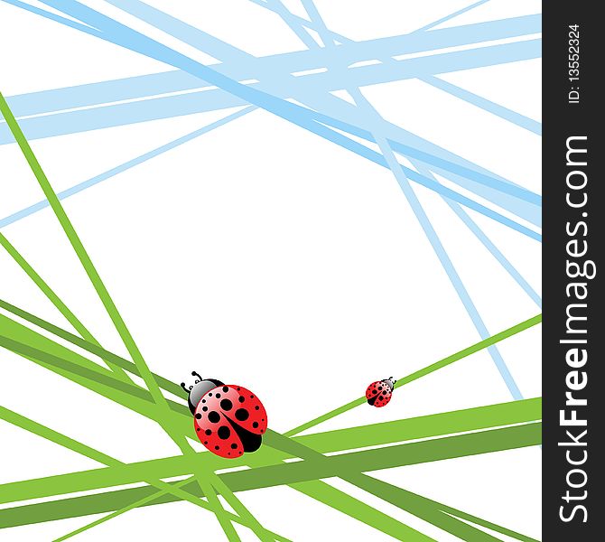 Shows ladybugs in the grass. Shows ladybugs in the grass