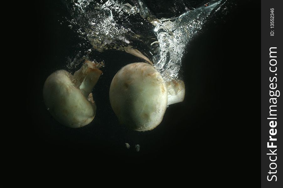 Champignons In Water