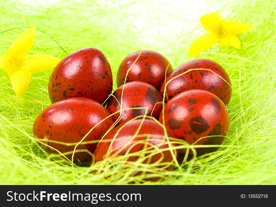 Easter eggs on green grass