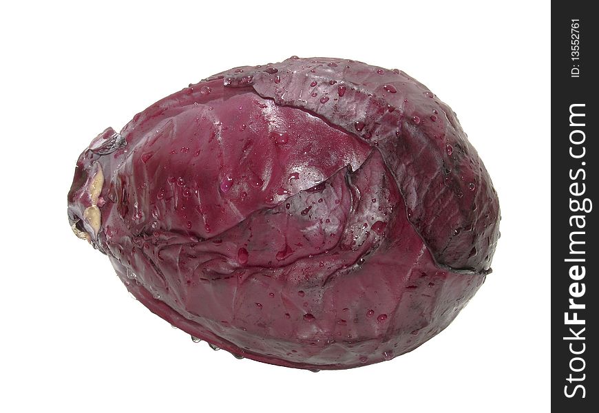 Red Cabbage - hand made clipping path included