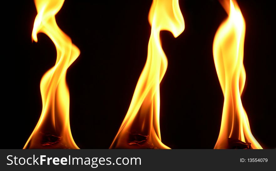 Several high yellow flames on black background. Several high yellow flames on black background