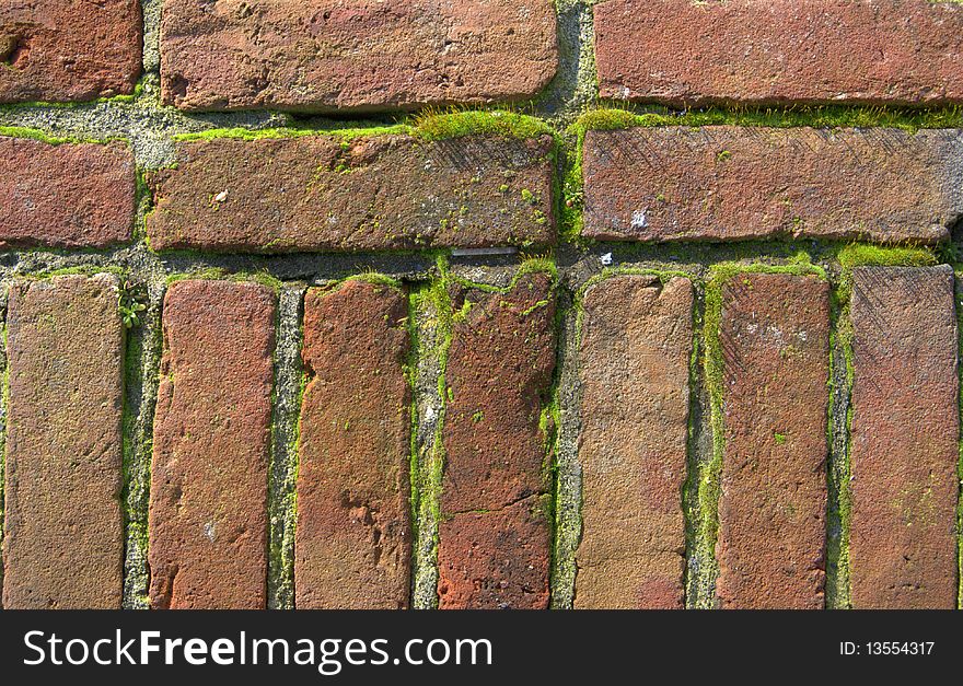 Old bricks with moss from a building in Vancouver