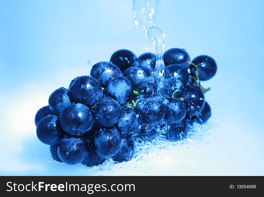 Blue grape  isolated with water