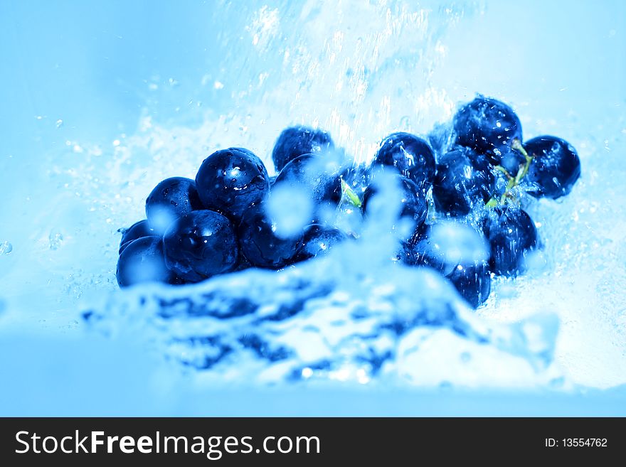 Blue grape isolated with water