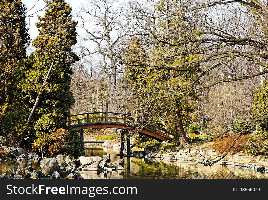 Photograph of the Japanese garden in spring time