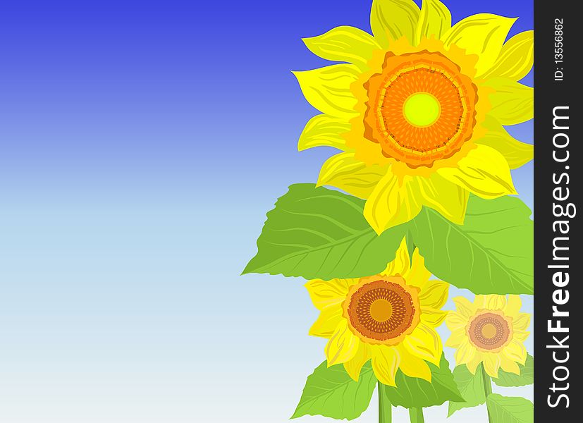 Background with sunflowers, illustration with copy spase area
