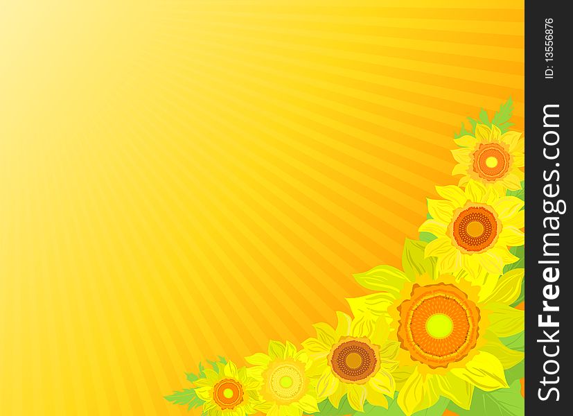 Background with sunflowers, illustration with copy spase area