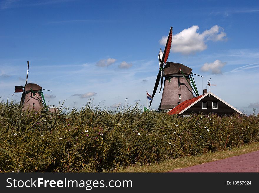 This is dutch landscape in Zaans Schans. This is dutch landscape in Zaans Schans