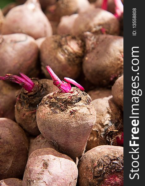 Multiple beet roots basking in the sun.