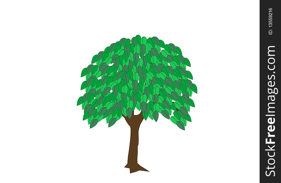 Illustration tree with foliage on white background. Illustration tree with foliage on white background