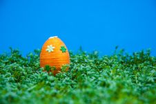 Easter Egg On Cress Royalty Free Stock Photography Easter Egg On Cress Royalty Free Stock Photography