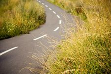 Asphalt Bicycle Path In A Field Stock Photos