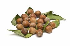 Some Hazelnuts With Leaves. Stock Images Some Hazelnuts With Leaves. Stock Images