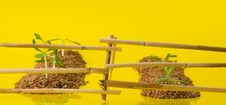 Vegetable Patches Behind A Fence Stock Image Vegetable Patches Behind A Fence Stock Image