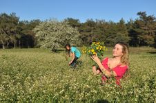 Two Beautiful Young Women Standing In Meadow Royalty Free Stock Photography Two Beautiful Young Women Standing In Meadow Royalty Free Stock Photography