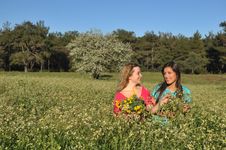 Two Beautiful Young Women Standing In Meadow Stock Photo Two Beautiful Young Women Standing In Meadow Stock Photo