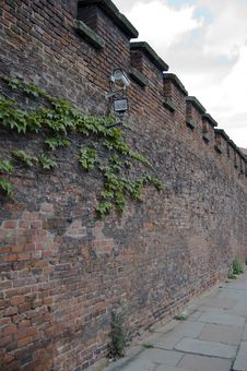 Ivy And Camera On Red Bricked Wall. Royalty Free Stock Photography Ivy And Camera On Red Bricked Wall. Royalty Free Stock Photography
