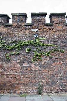 Ivy And Camera On Red Bricked Wall. Royalty Free Stock Photo