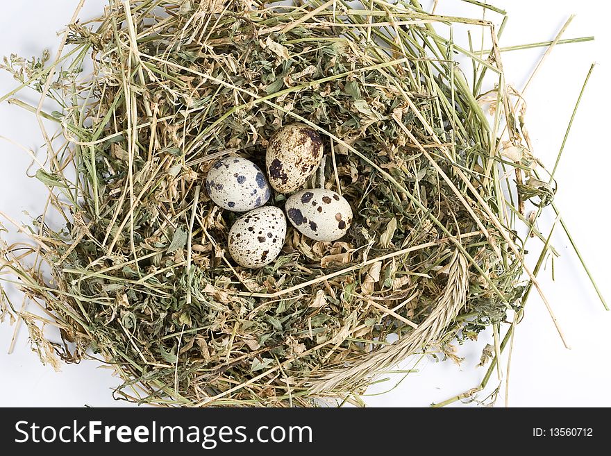 Fresh quail eggs in a nest isolated on white background