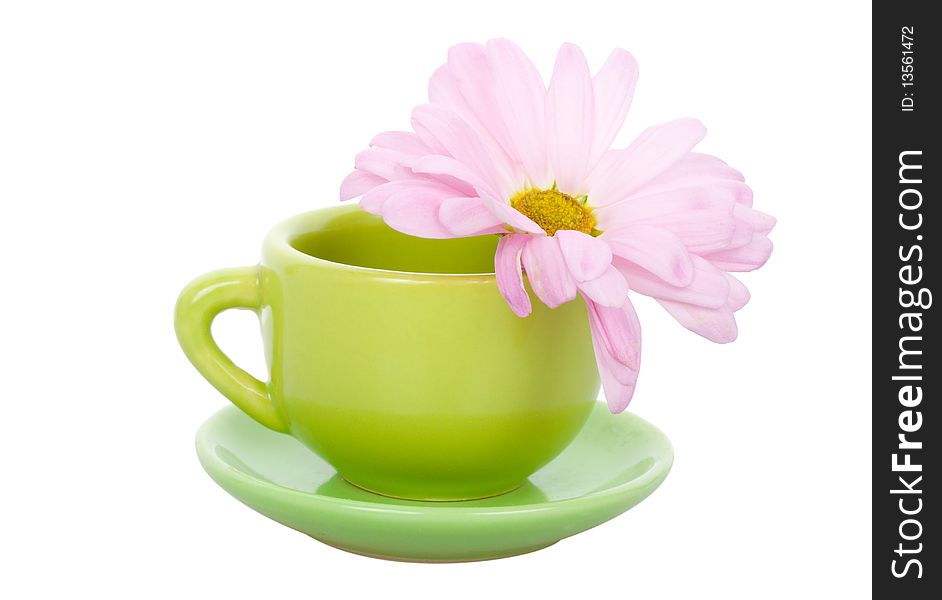 Close-up green cup with flower, isolated on white