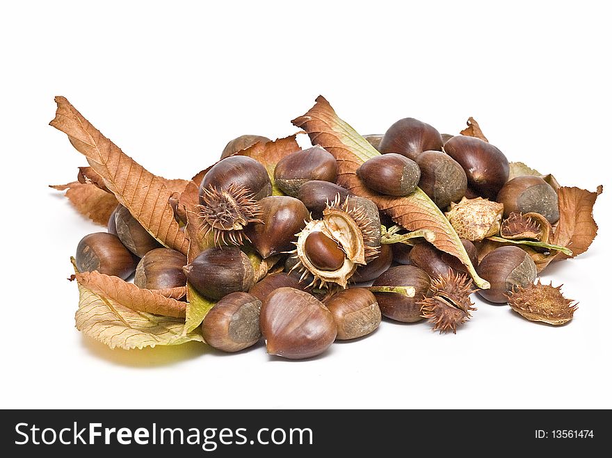 A lot of chestnuts isolated on a white background. A lot of chestnuts isolated on a white background.