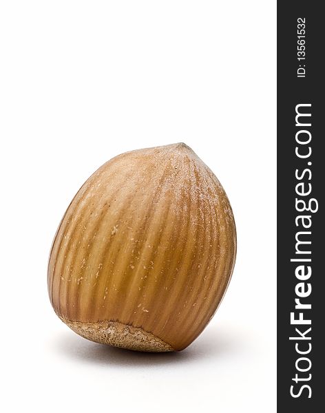 One hazelnut isolated on a white background. One hazelnut isolated on a white background.