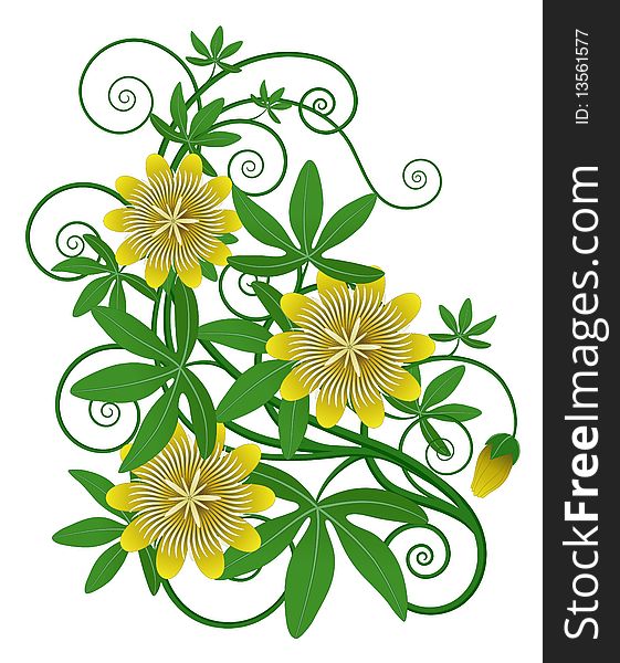 Yellow Flower And Green Leaves