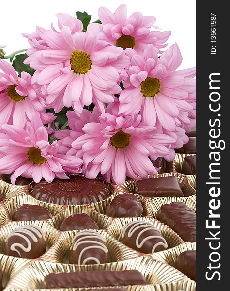 Close-up set of chocolate and chrysanthemum flowers