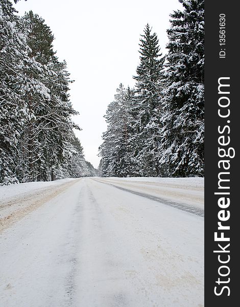 Snowy country road view from below