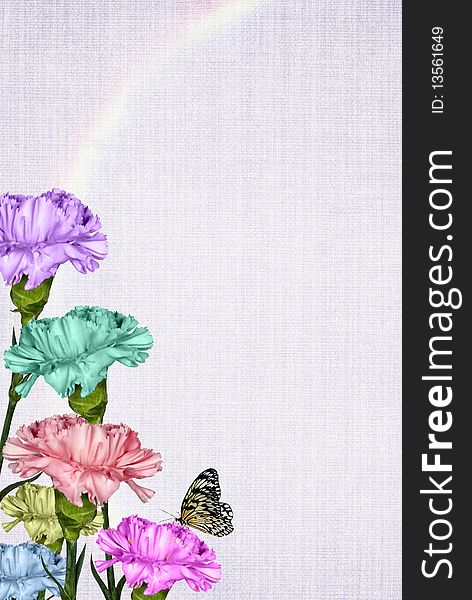 Colorful carnations with rainbow and butterfly. Colorful carnations with rainbow and butterfly.