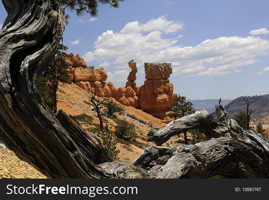 Hoodoos on display in Bryce Canyon National Park. Hoodoos on display in Bryce Canyon National Park