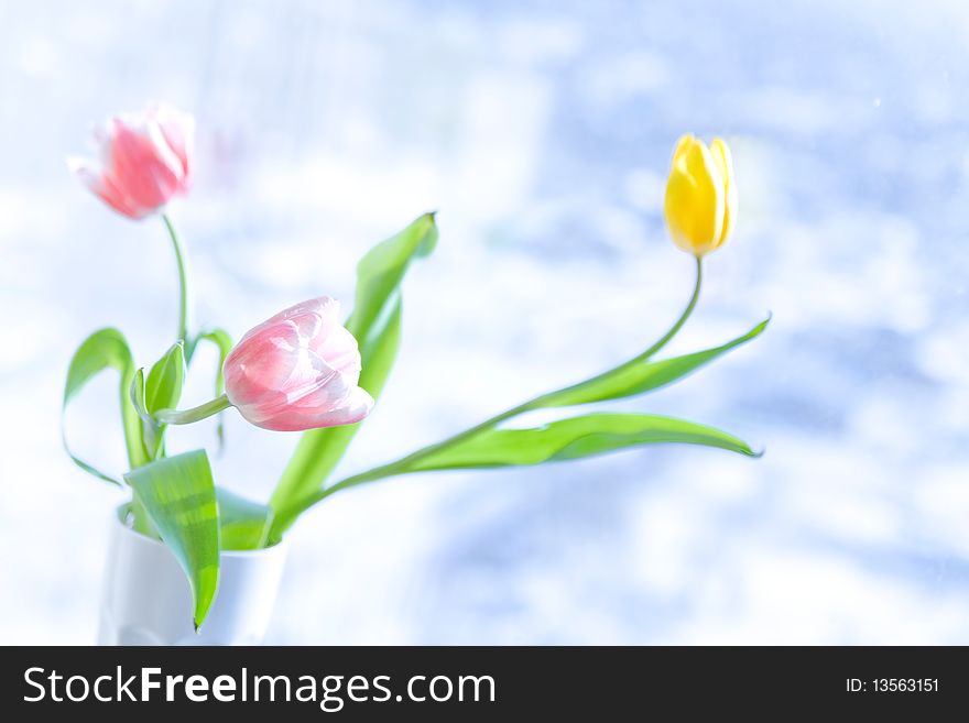 Photo Bouquet Of Tulips