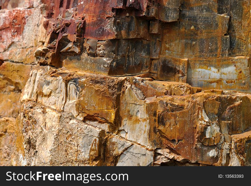 Surface of fossil wood, shown as featured texture, character and color. Surface of fossil wood, shown as featured texture, character and color.