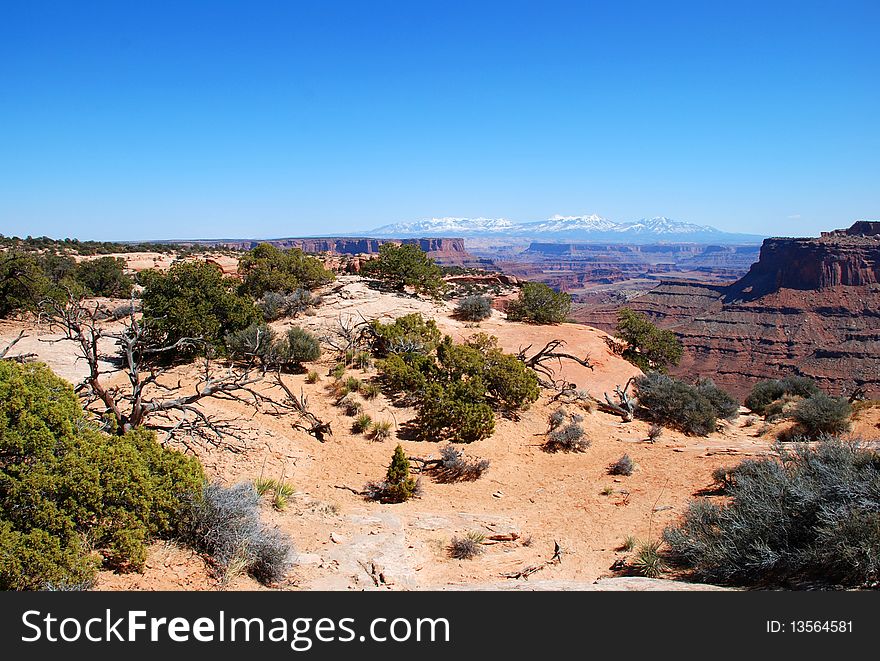 Canyonlands National Park near Moab, Utah: the view near visitor center