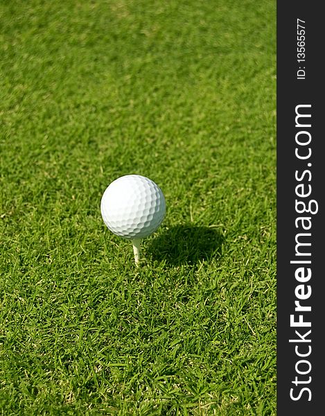 Golf ball on white tee on golf course