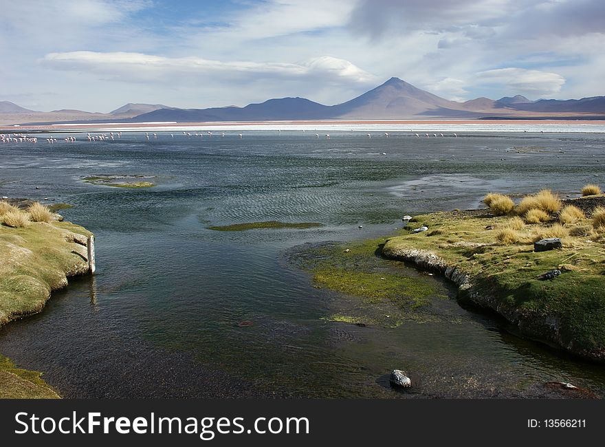 Salar Lake