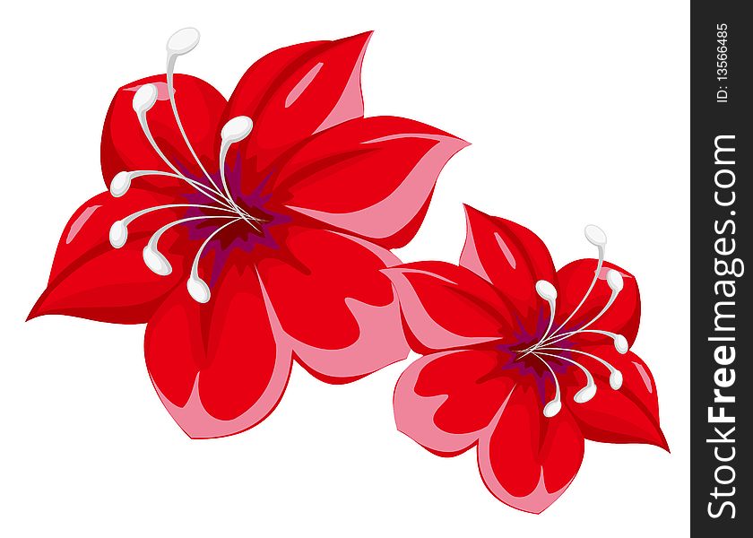 Red flower