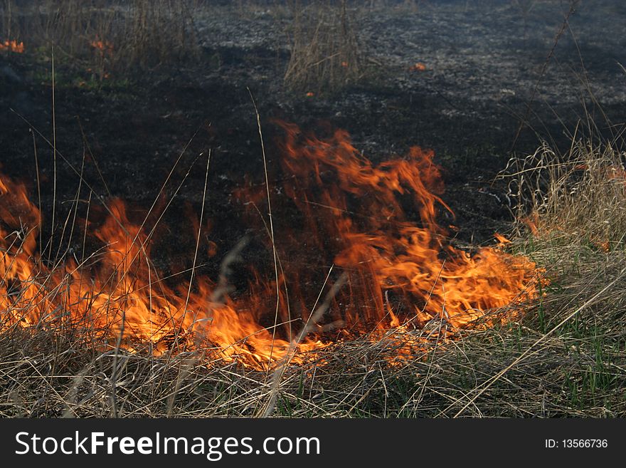 Burning grass, fire in the field, scorched ground. Burning grass, fire in the field, scorched ground