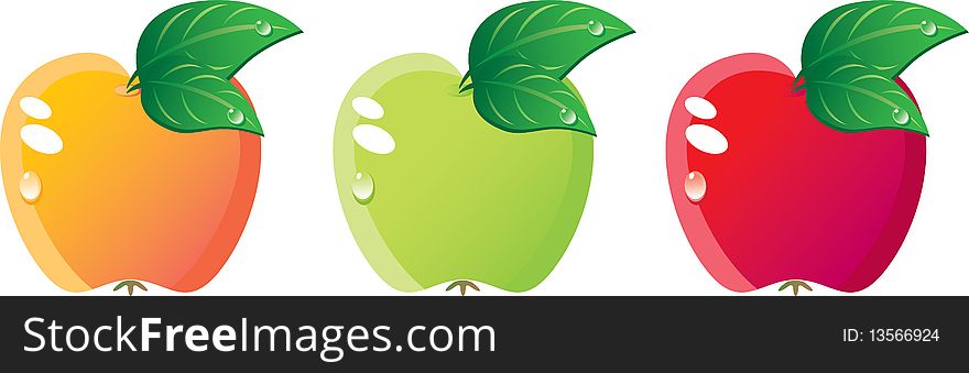 Apples of various grades set. Yellow, green and red. Isolated on a white background. Apples of various grades set. Yellow, green and red. Isolated on a white background.