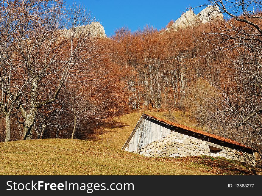 Autumn landscape in romanian Carpathians