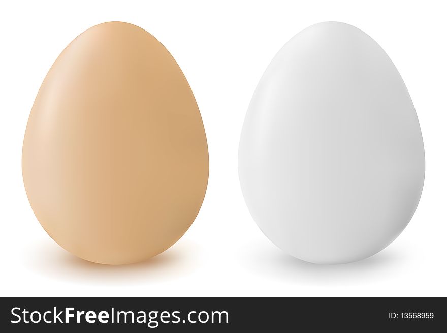 Brown and white realistic eggs. Brown and white realistic eggs